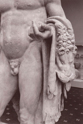 Hercules with Nimean Cloak, 2013